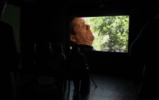 In the darkened gallery beyond the first screen, Jamie is projected in close up, shown in a domestic setting, greenery visible in the window behind him.