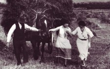 Helen walks through stubble in a large field filled with hayricks. With Polly alongside guiding her, Helen and a farmer hold the bridle of a horse which pulls a cart towering with cut hay, a farm worker balanced on the top.