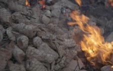 A net of chicken wire encases the figures, flames still burning at the outer edges.