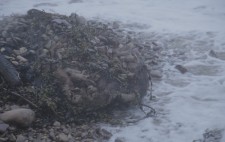 The bundled figures, seaweed-strewn and surrounded by sea froth.