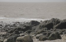 Boulders draped in seaweed and a muddy sea beyond.