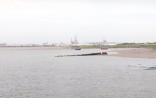 Beyond a muddy shoreline are cranes and industrial warehouses.