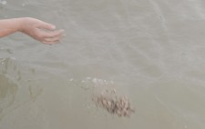 The dust and ground remains fall from an outstretched palm held above water.