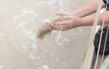 Dust and ground remains fly from outstretched palms held above muddy water.