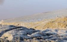 At low tide, the clay banks emerge from water, glistening in sunlight.