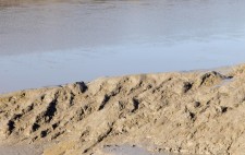 At low tide, the clay banks emerge from water, glistening in sunlight.