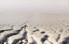 At low tide, the clay banks emerge from water.