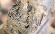 A close up of industrial machinery, painted blue and caked with mud.