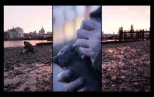 Screen is split vertically into three. Left and right, dawn, pink light, a figure kneeling on damp, dank Thames riverbank, London skyline - St Paul's Cathedral and The City - in the distance.