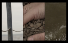 Screen is split vertically into three. Left shows a metal pole threaded with guard rope, around the edge of a boat. Centre, a dusty hand claws though the broken pieces. Right, dark green-brown water.